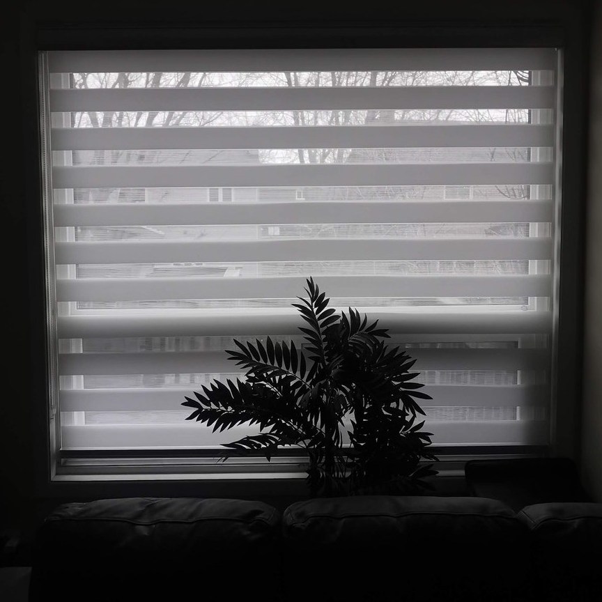 Zebra Blinds